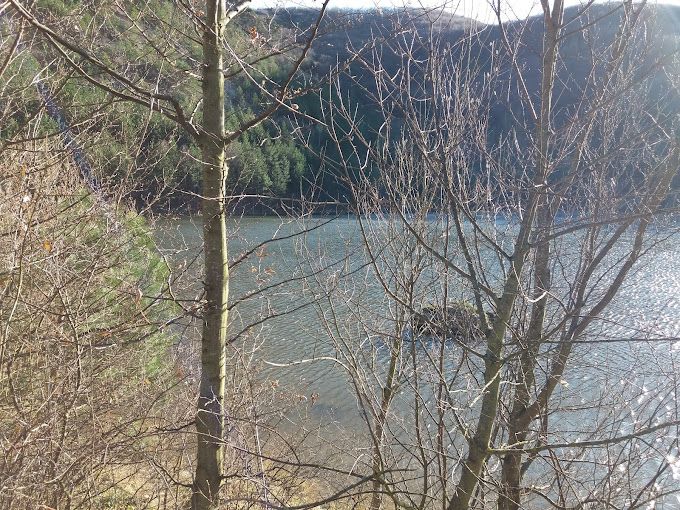 Das Naturschutzgebiet Steinbruchsee