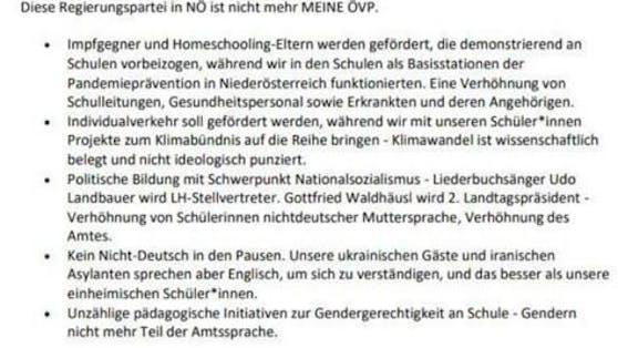 Mittels Wut-Posting legte eine ÖVP-Funktionärin ihre Mitgliedsschaft nieder.