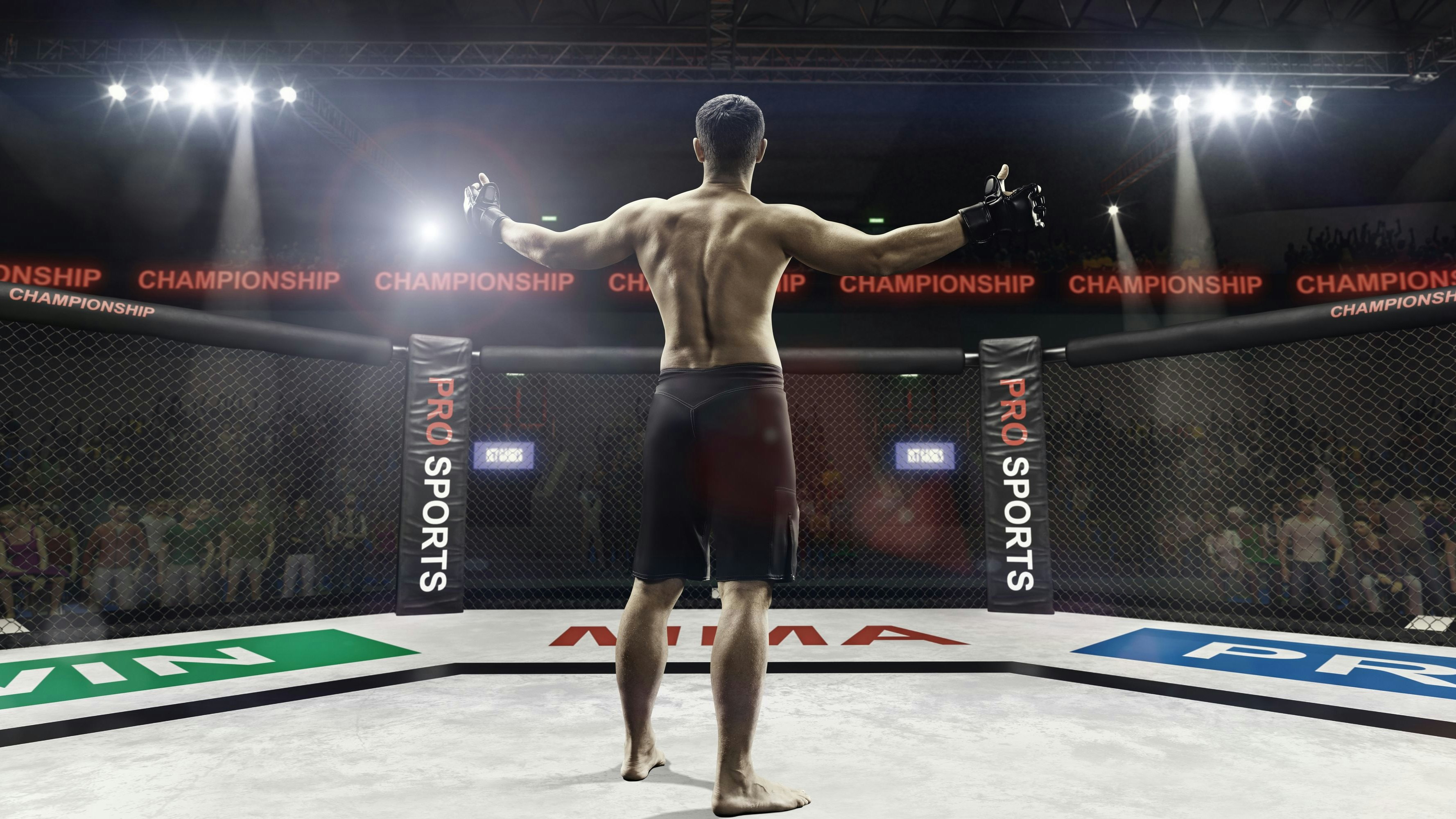 MMA-Kämpfer stand in Wien vor Gericht. 