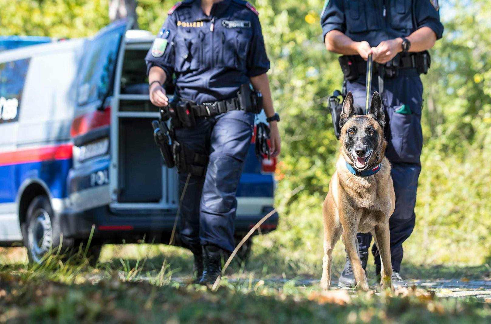 Diensthunde unterstützen die Polizei auf der Suche nach bestimmten Stoffen wie Drogen oder Sprengstoff.