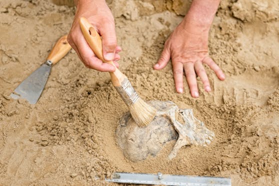 Der im Burgenland gefundene Schädelknochen stammt aus einer historischen Epoche. (Symbolbild)