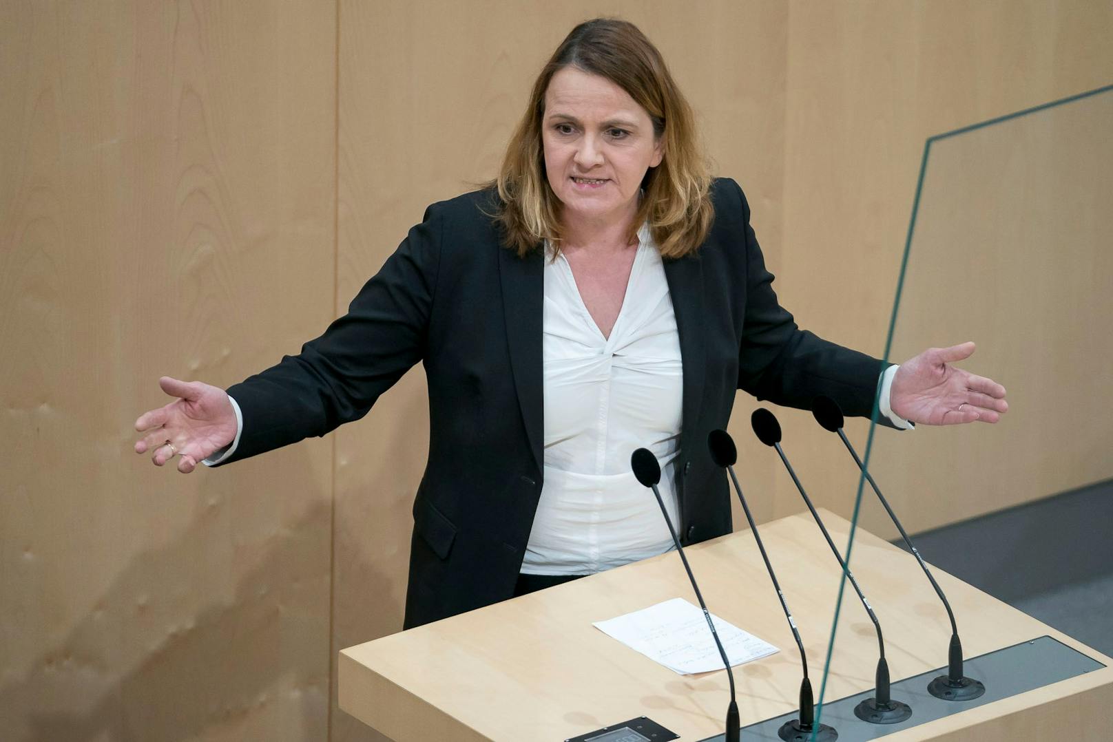 "Corona-Diktatur" – FPÖ blitzt mit U-Ausschuss ab