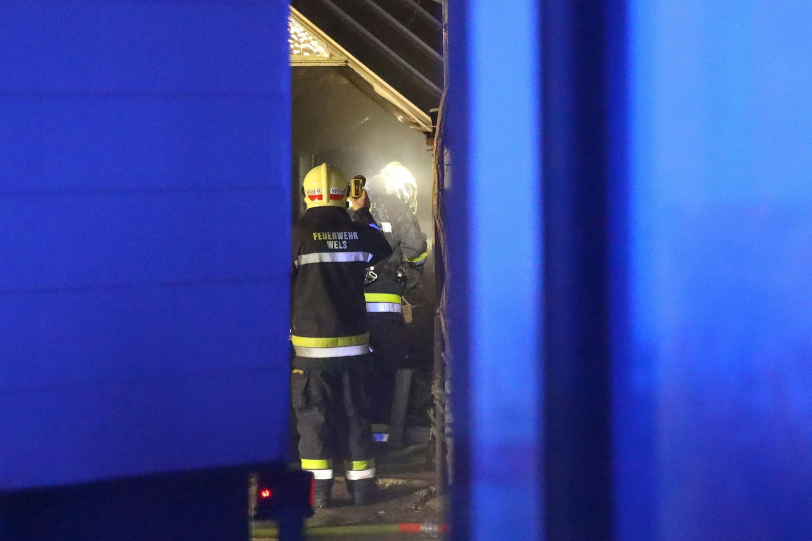 Ein Brand in einem Gewächshaus eines ehemaligen Gärtnereibetriebes in Wels-Pernau musste von der Feuerwehr in der Nacht auf Donnerstag gelöscht werden.