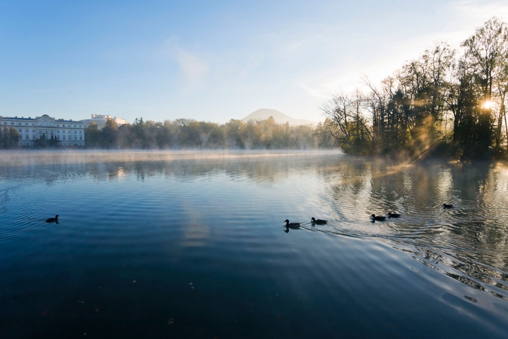 Der Leopoldskroner Weiher – hier wurde&nbsp;am Freitagmorgen eine Leiche entdeckt. (Archivfoto)