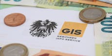 Jeder Niederösterreicher erspart sich jetzt 156,60 Euro