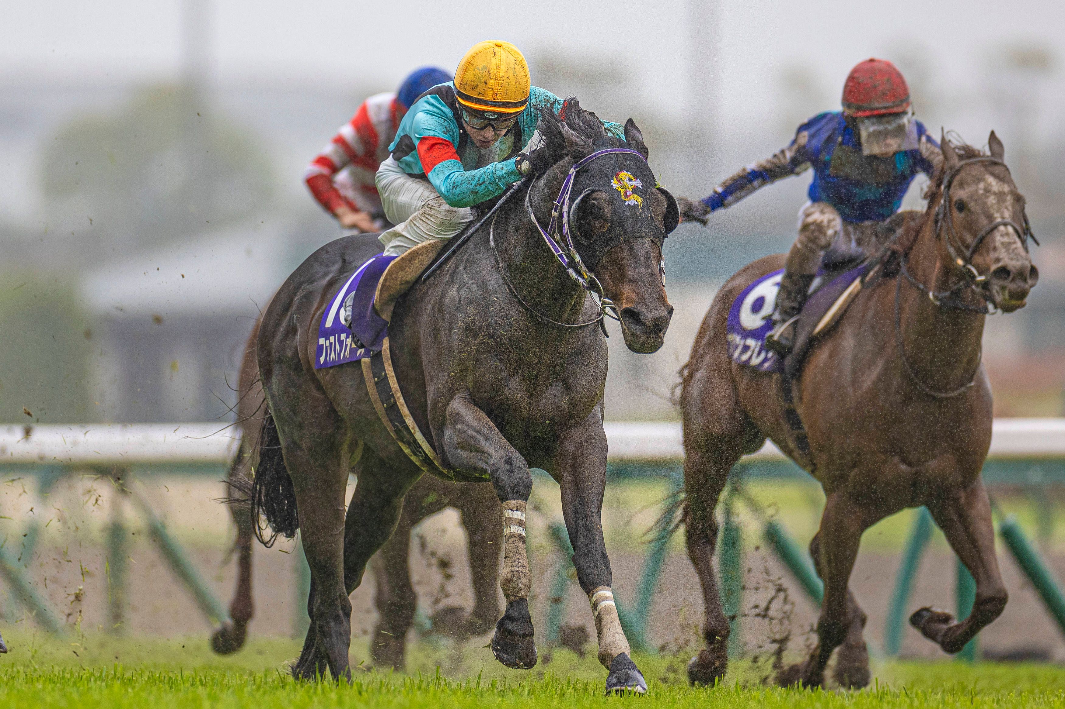 Schlimmer Unfall beim Pferderennen