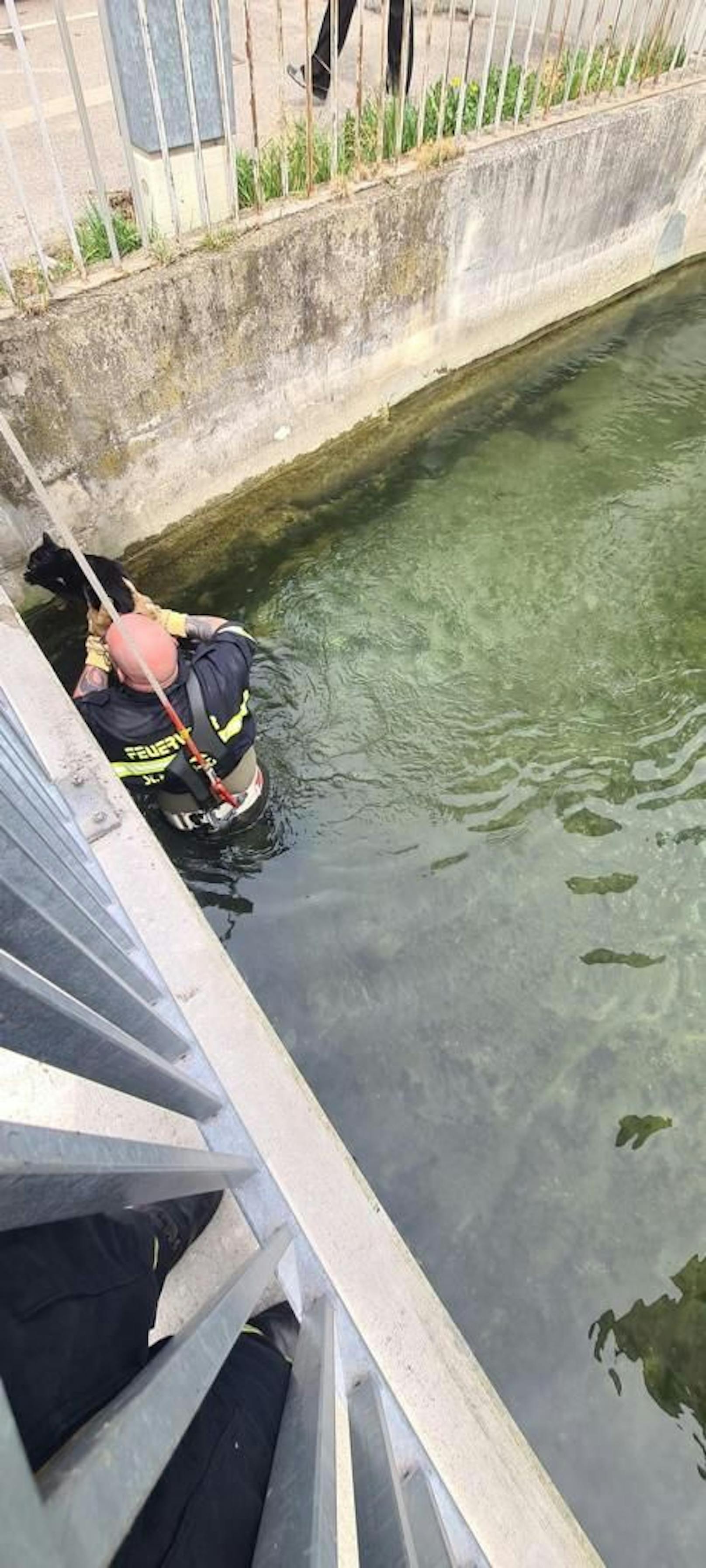 Feuerwehrmann stürzt sich in kalte Fluten