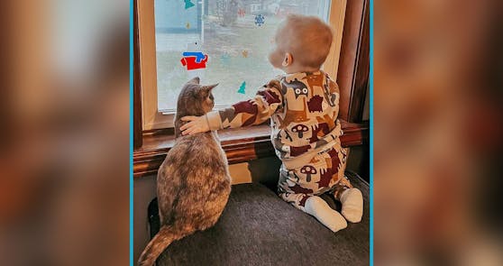 Mit erst 14 Monaten ist der kleine Axel schon schwerkrank. Katze "Bingo" hilft ihm durch die Chemotherapie.