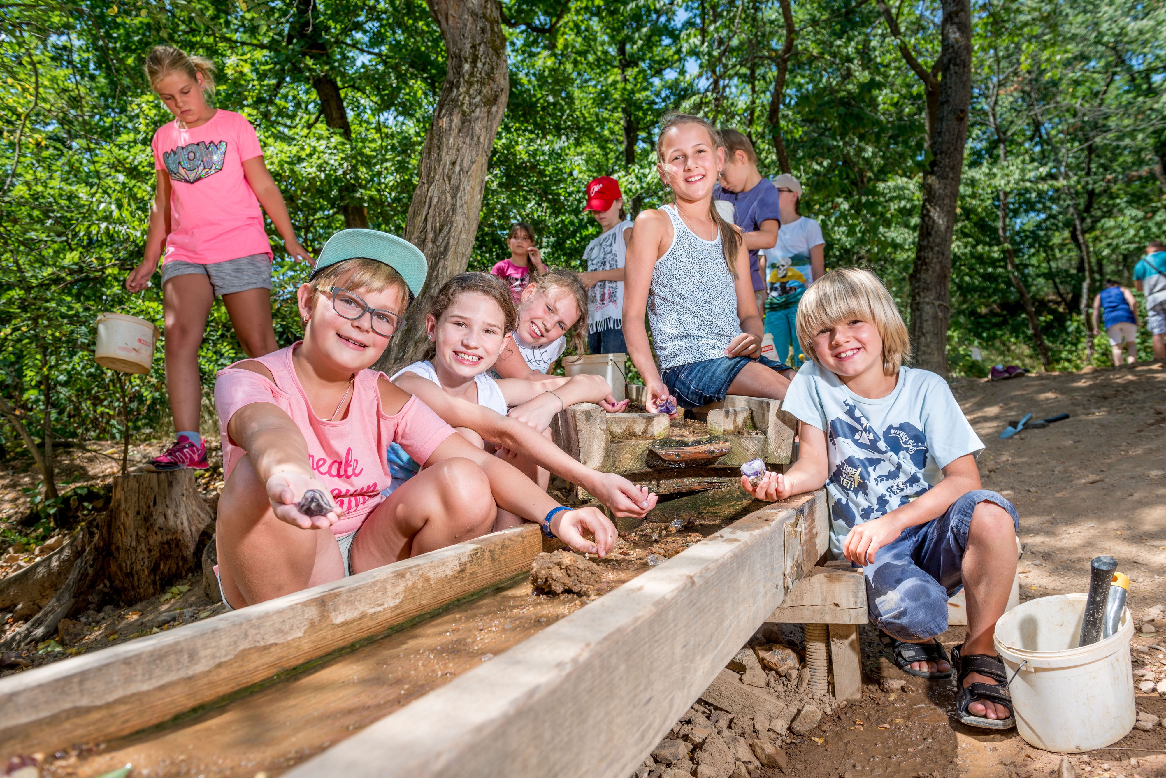 Schatzgräber Amethystwelt