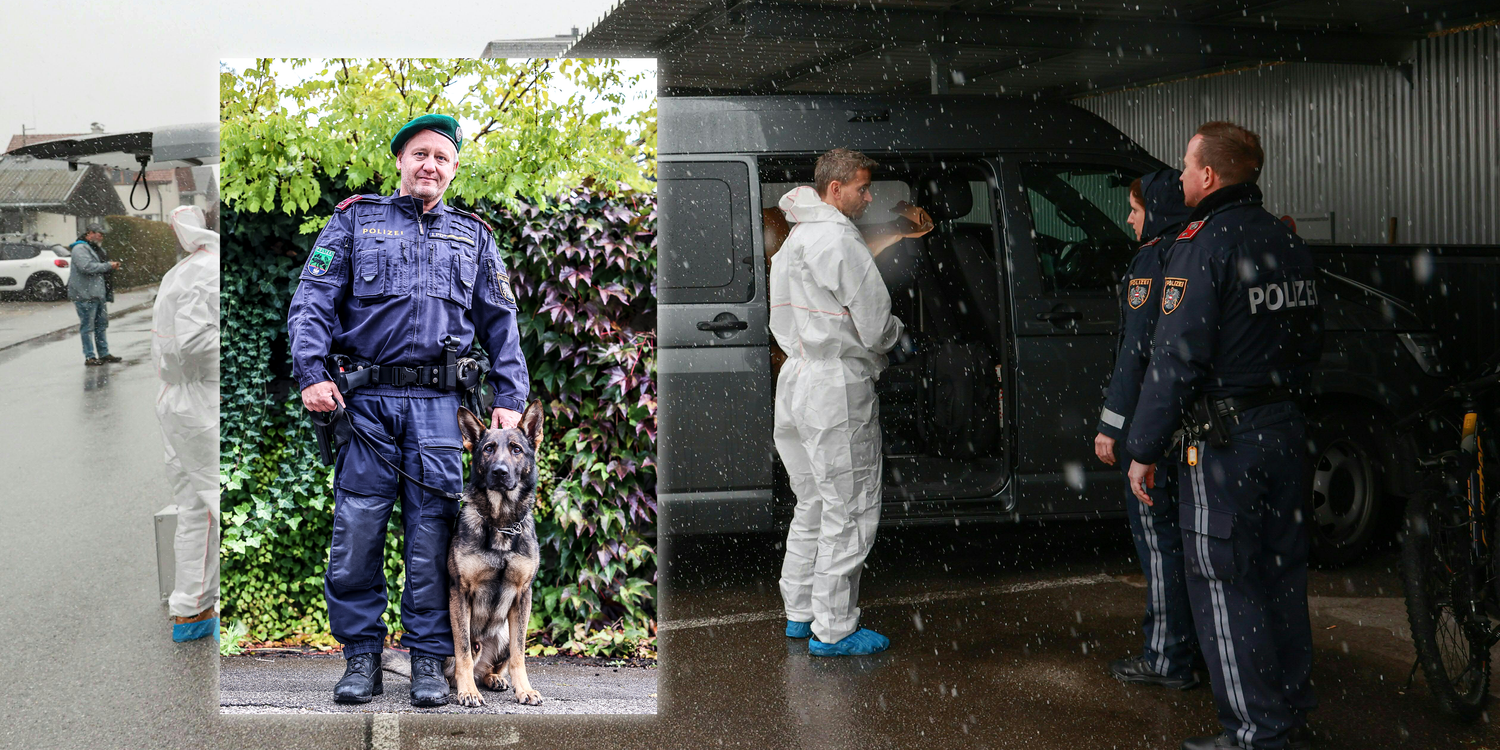 Der Diensthundeführer aus OÖ konnte mit seinem Hund "Dionysos" die Fährte des Verdächtigen aufnehmen.