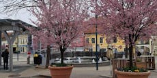 Gemeinde bekam 2.951 € Stromrechnung für Springbrunnen