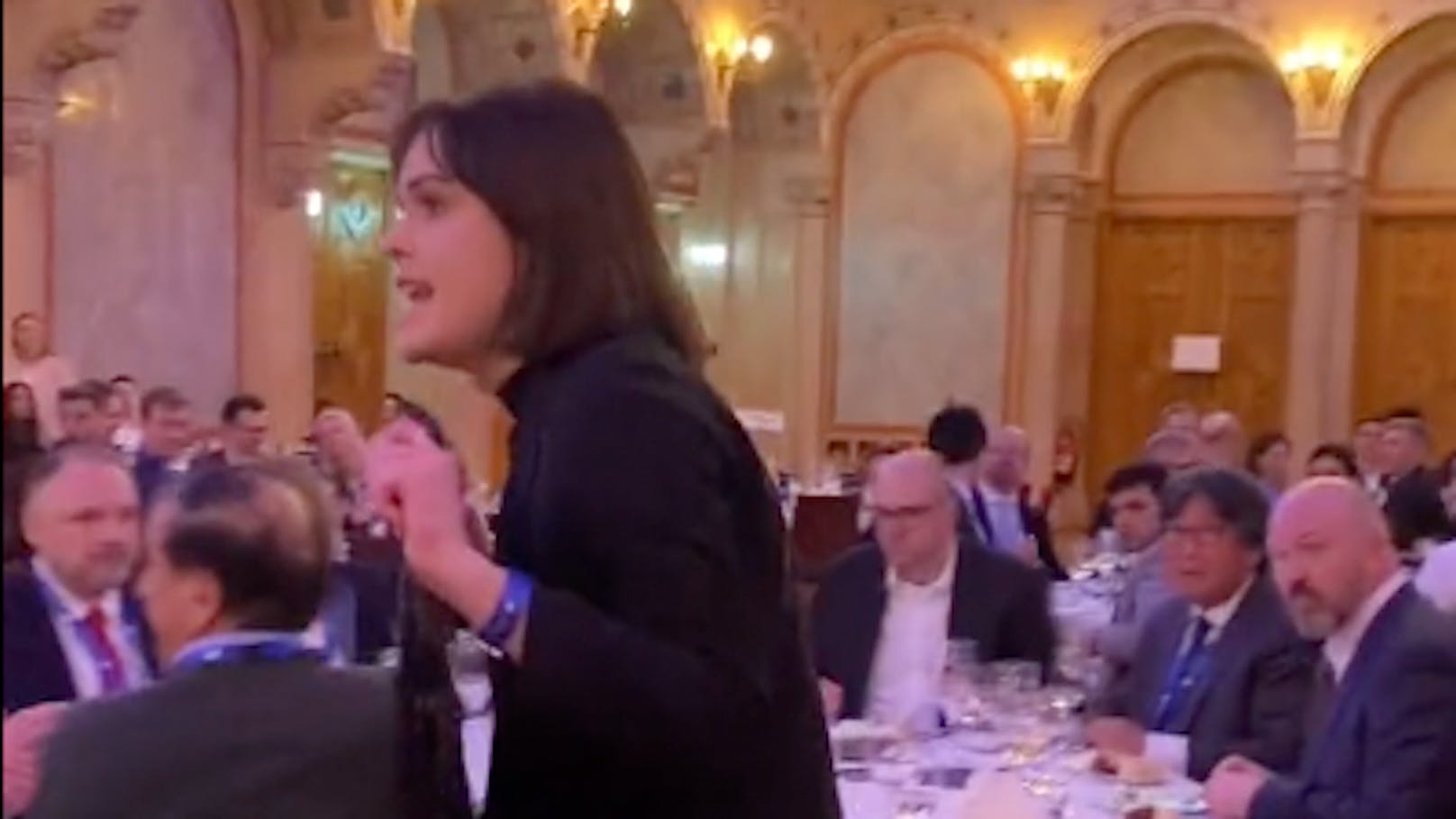 Klima-Aktivistinnen stürmten Dinner im Wiener Palais Ferstel.