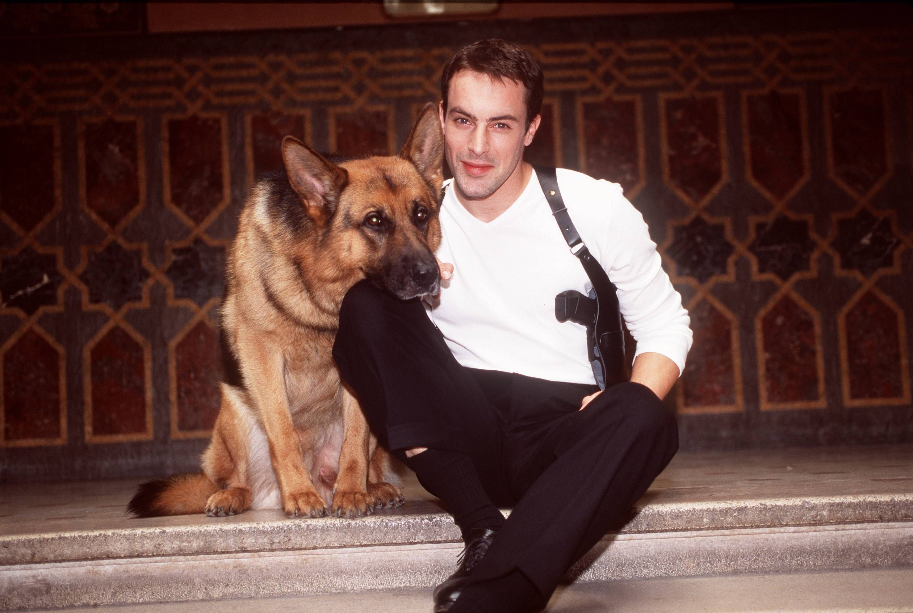 Gedeon Burkhard übernahm nach Tobias Moretti die menschliche Hauptrolle in "Kommissar Rex".