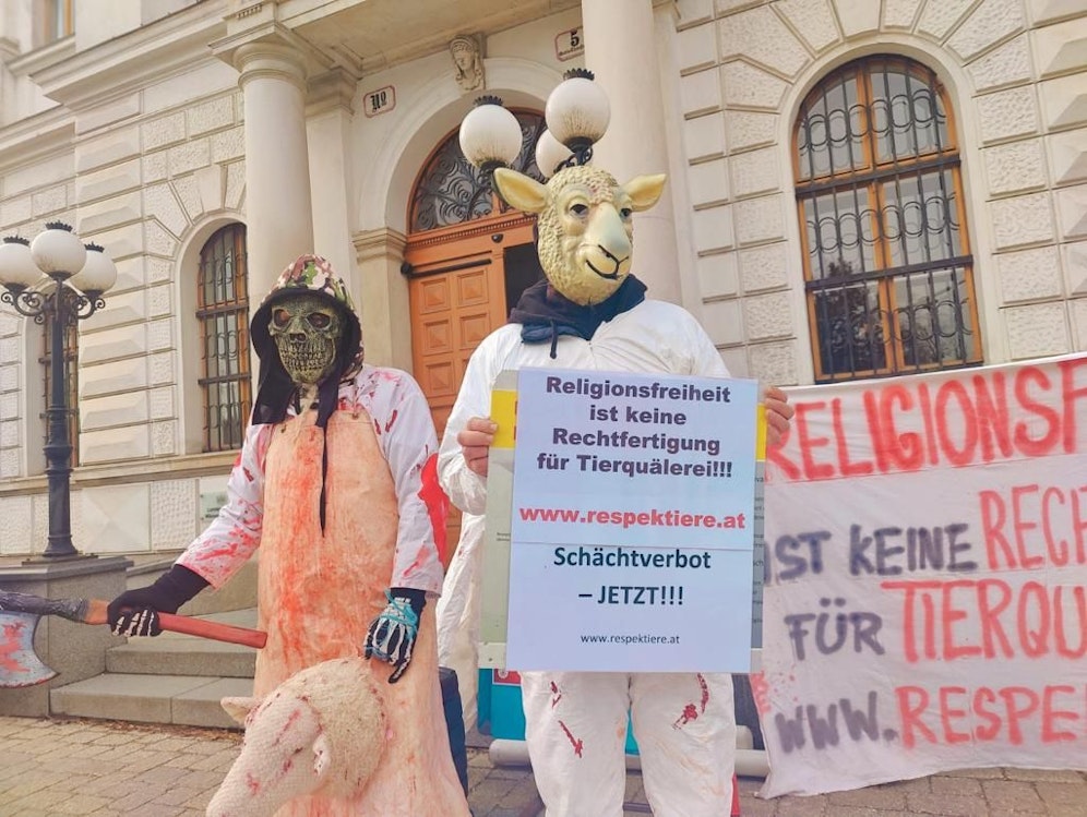 Klare Worte der Demonstranten in Wr. Neustadt.