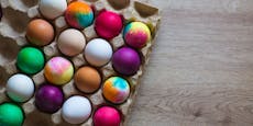 Vogelgrippe, Energiekosten! Eierengpass zu Ostern droht