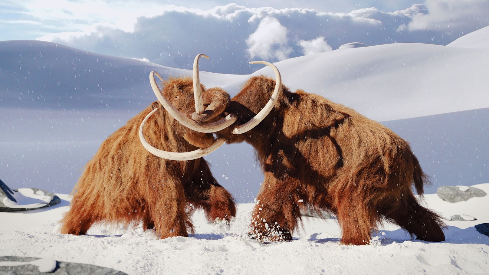 Das riesige Wollhaarmammut starb vor etwa 11.500 Jahren in Europa und Nordamerika aus.