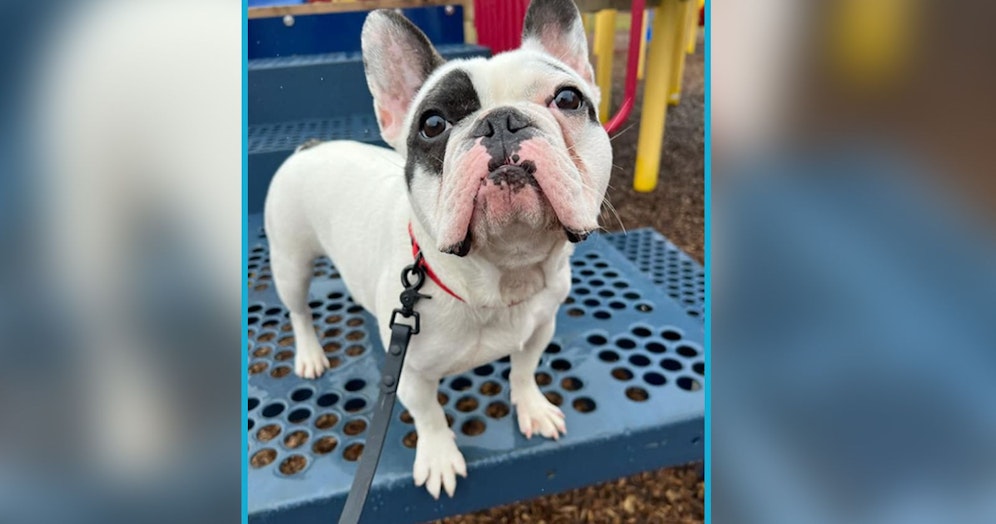 Tja, manche Dinge lassen sich nicht beschönigen.&nbsp;