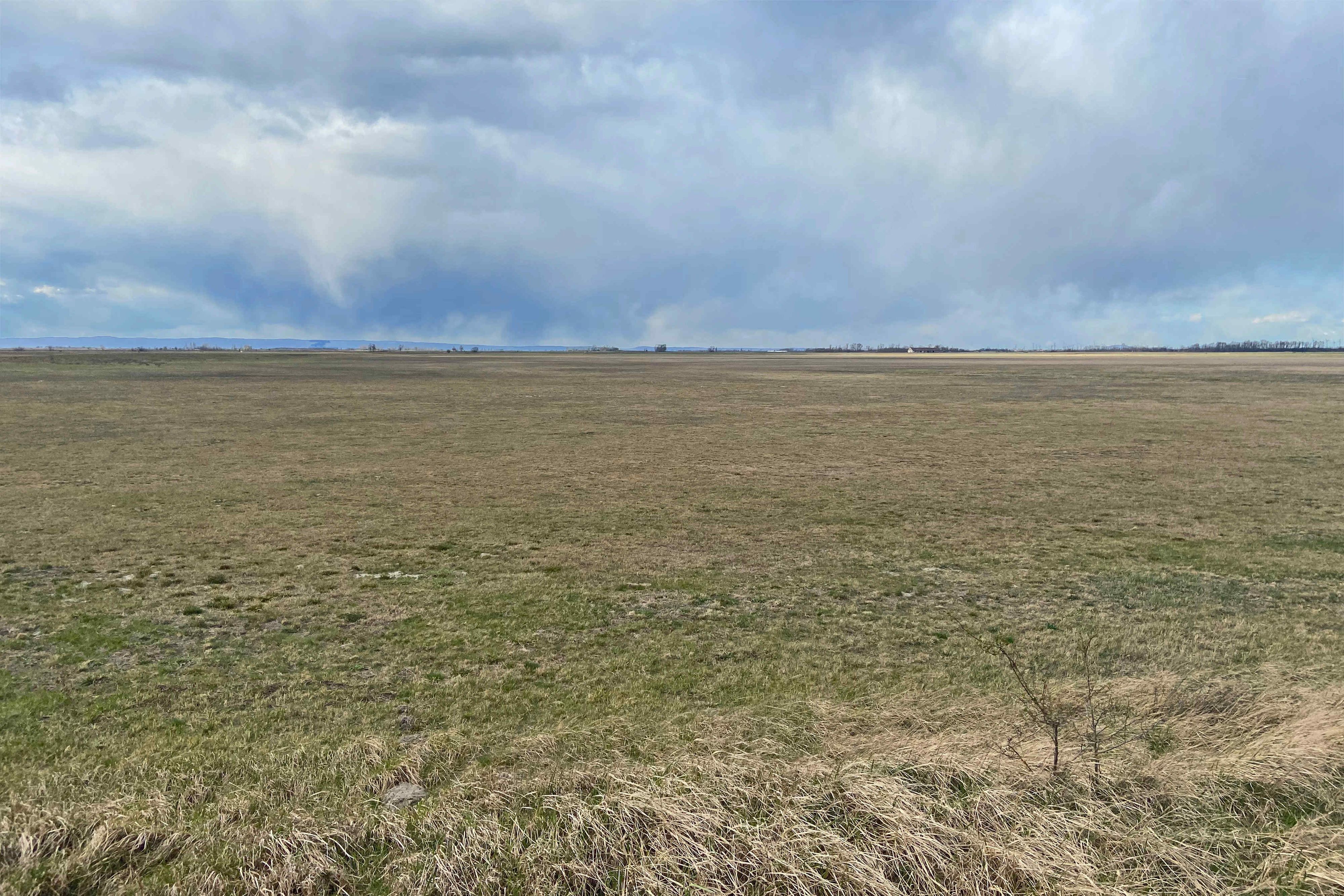 Das Wahrzeichen des Seewinkels, die Lange Lacke, hat größtenteils aufgehört zu existieren.
