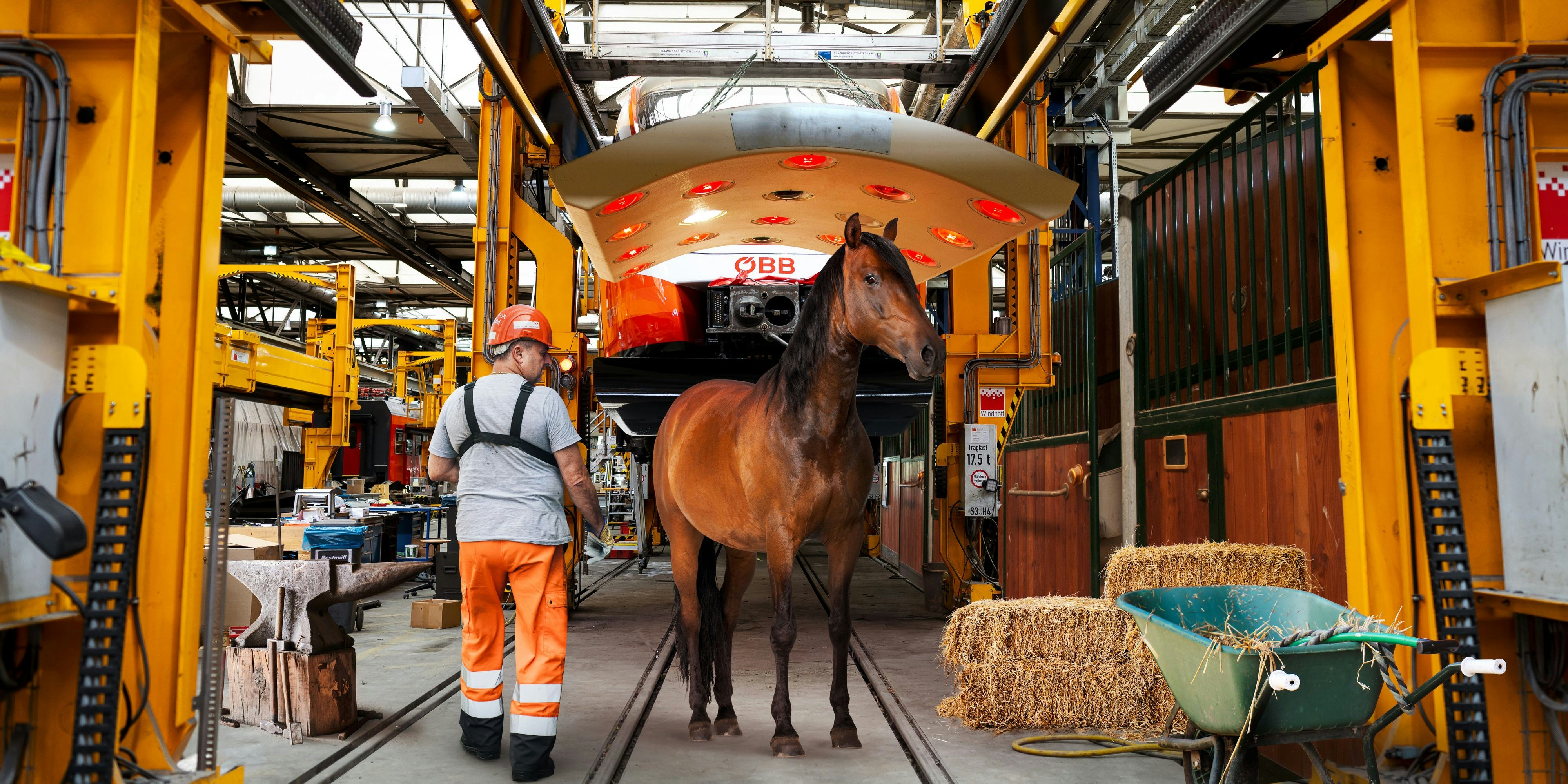 So soll die Stallwerkstatt ausschauen.