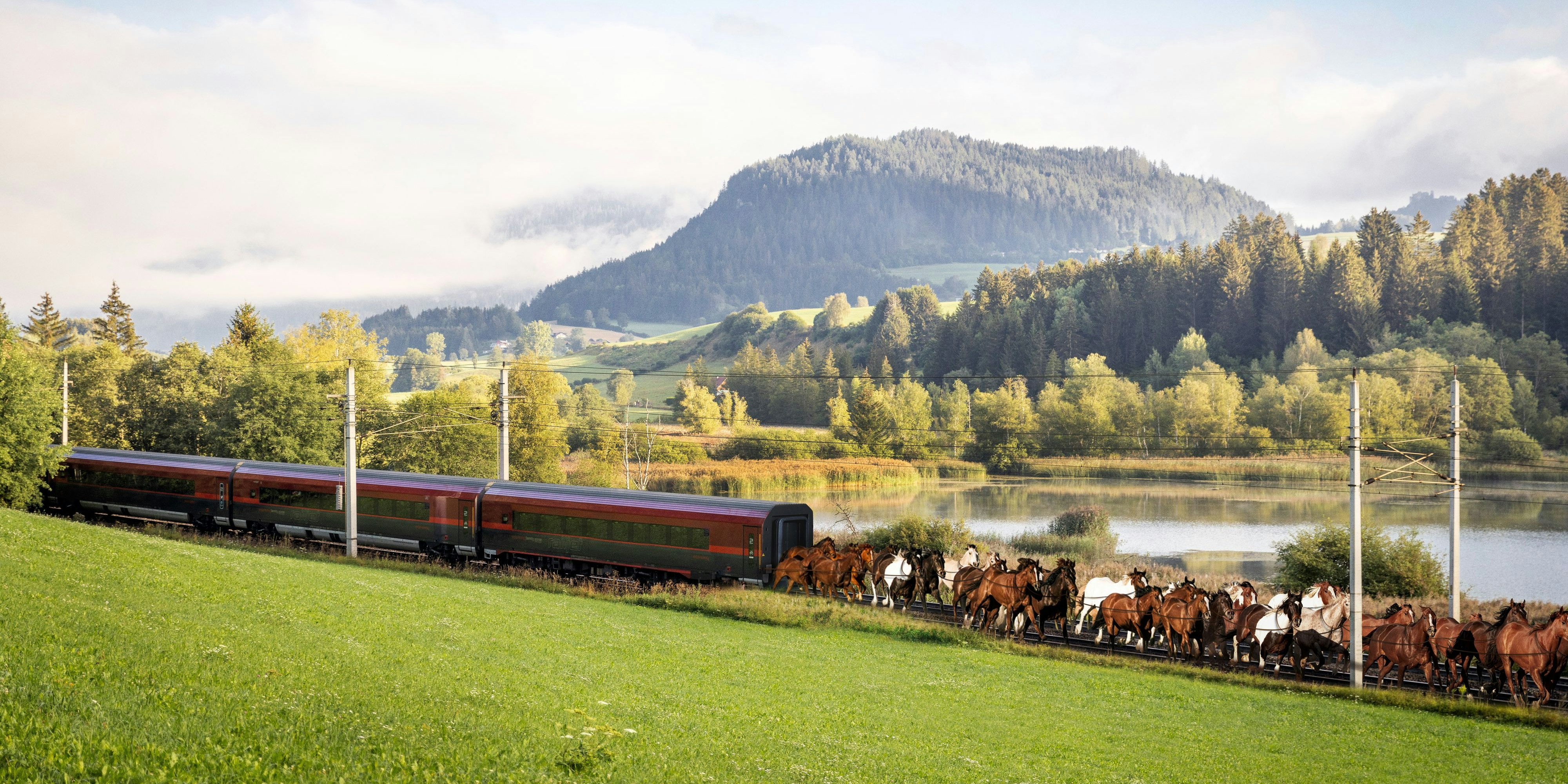 "Zugpferde sind echte Innovation beim Energiesparen", so ÖBB-CEO Matthä.