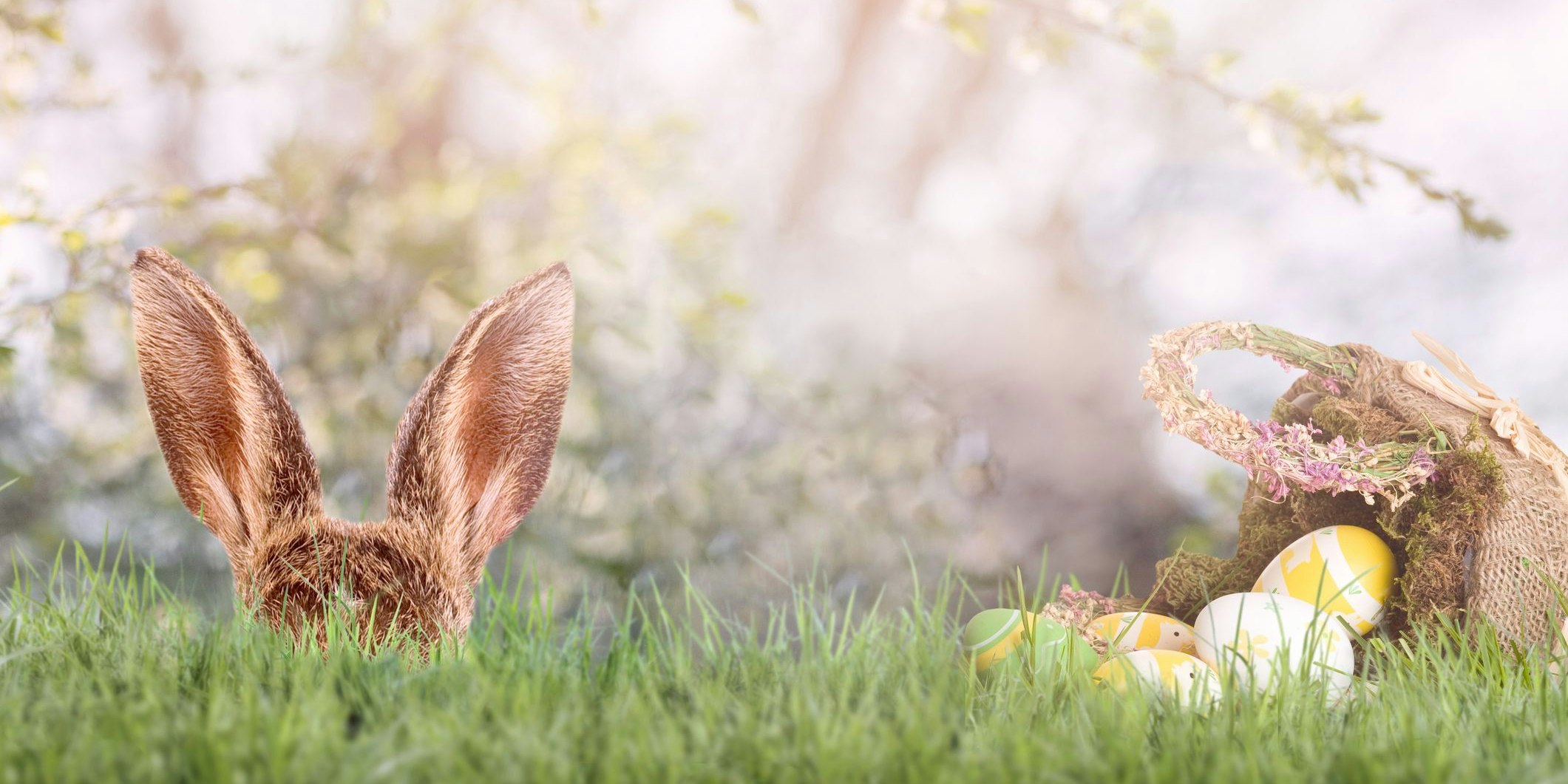 Nix mit Frühlings-Feeling: Die Osterferien werden stellenweise kälter als Weihnachten.