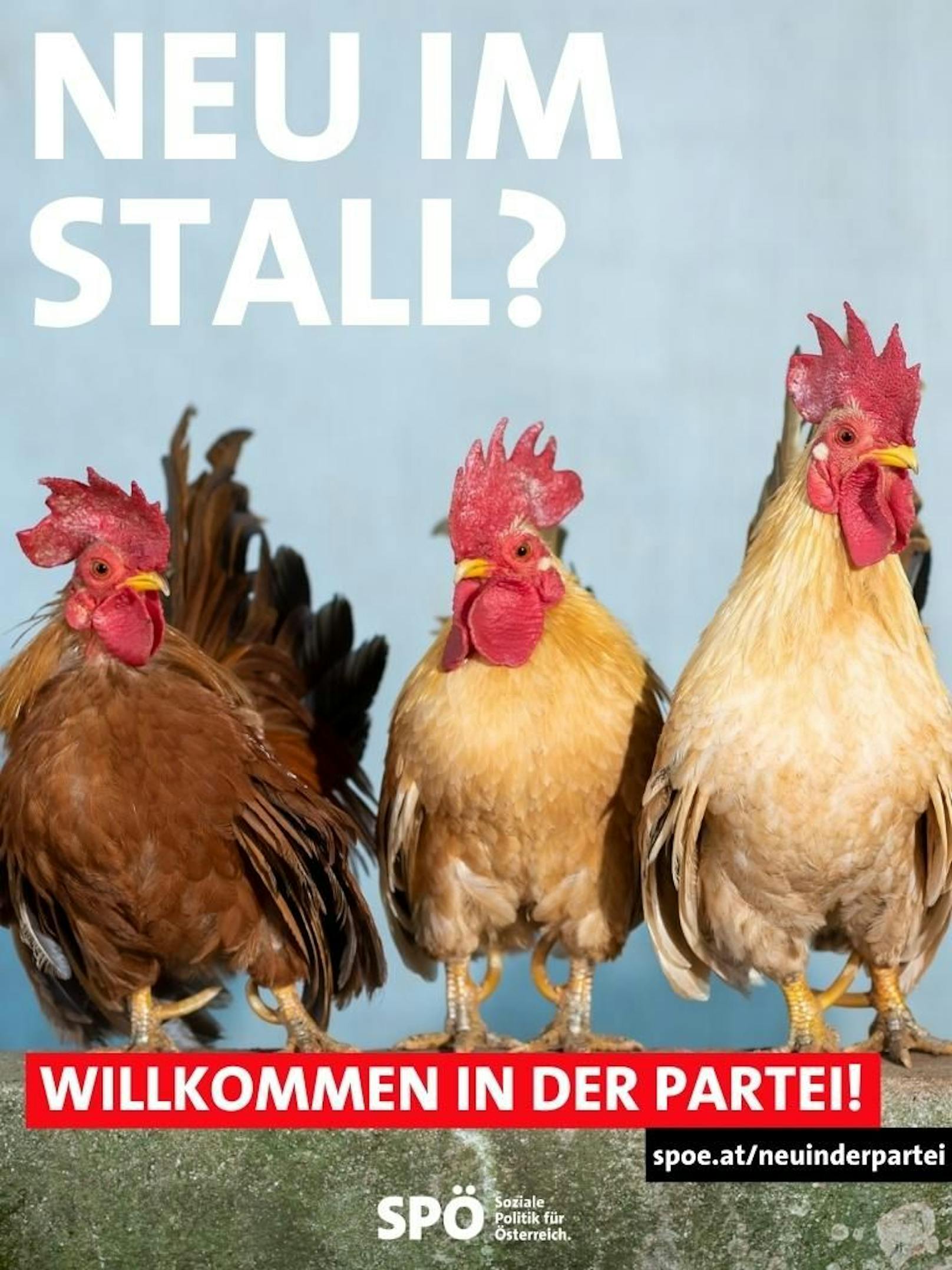 Die SPÖ ringt mit kreativen Sujets und Sprüchen verzweifelt um neue Parteimitglieder.
