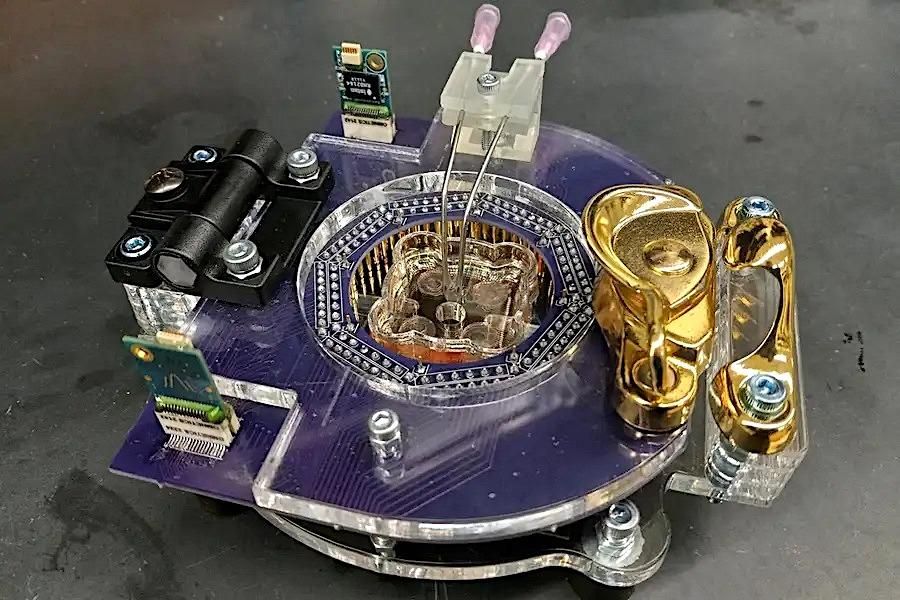 Hirn-PC: So sieht die neuartige Maschine aus.