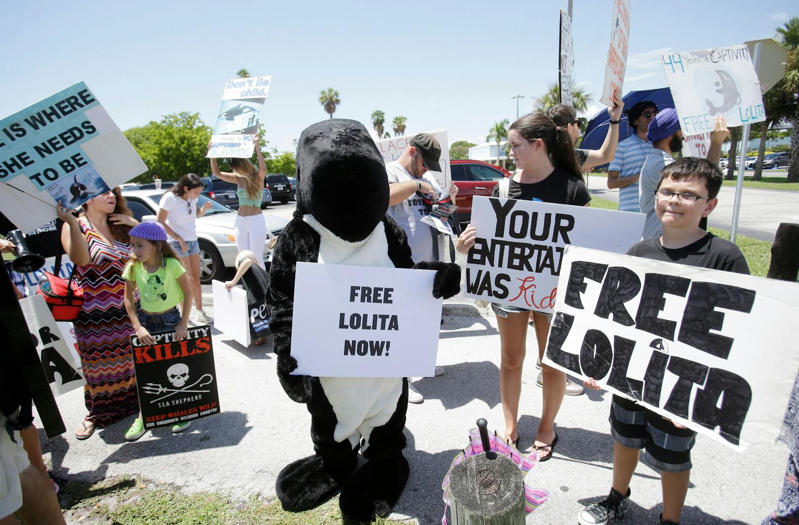 Seit Jahren versucht man mit diversen Kampagnen, den Orcas in Gefangenschaft zu helfen - so auch "Lolita". 