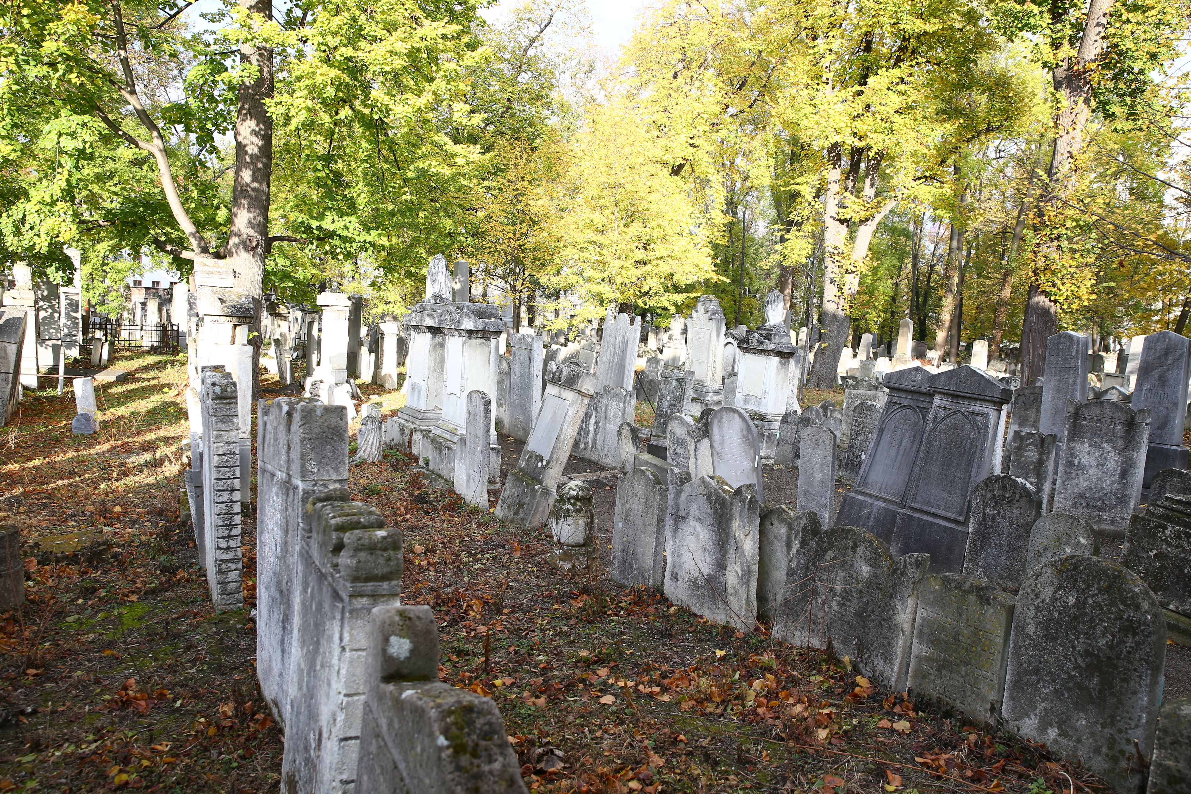 Ungefähr 9.000 Steine stehen auf dem Jüdischen Friedhof Währing. Noch viele weitere interessante Zahlen und Infos kann man bei den Führungen erhalten.