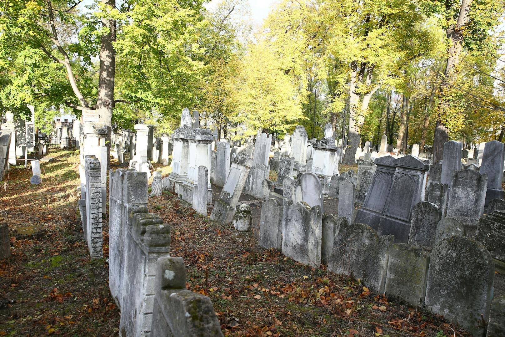 Der jüdische Friedhof in Wien-Währing ist zunehmend von Verfall betroffen.&nbsp;