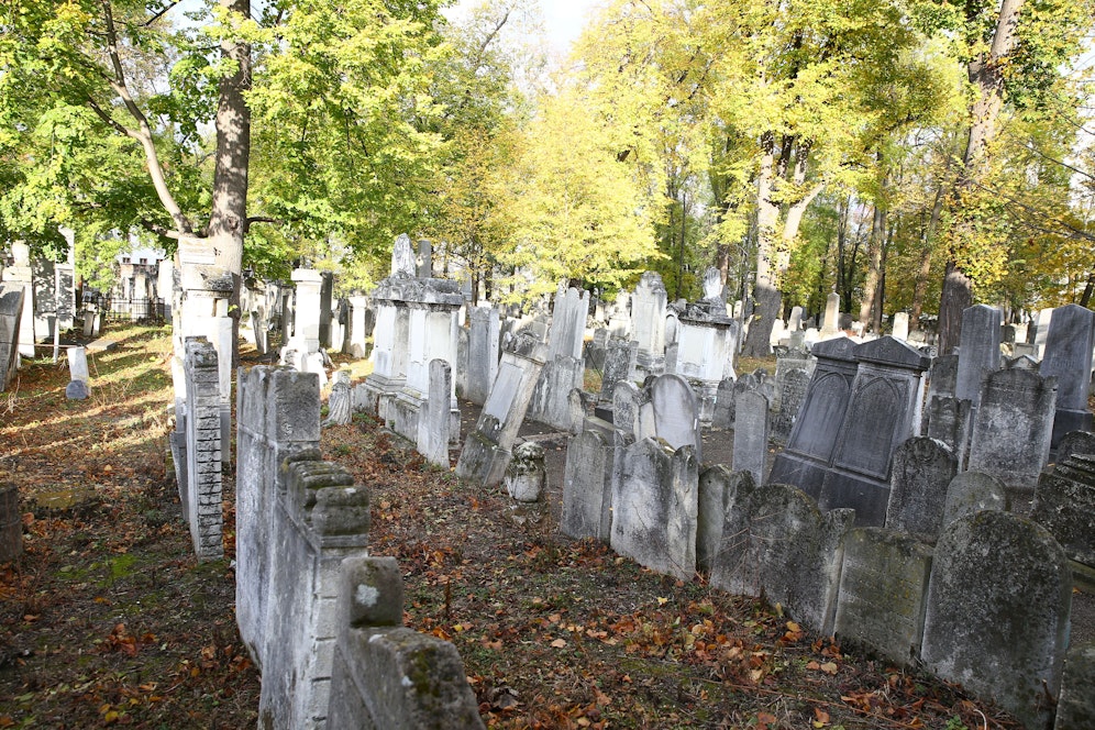 Der jüdische Friedhof in Wien-Währing ist zunehmend von Verfall betroffen. 