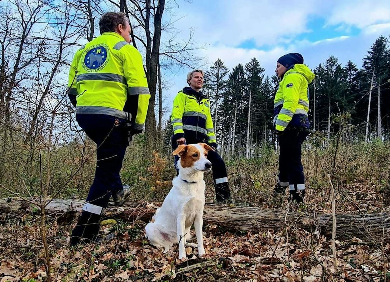 Rettungshund „Happy“ spürt vermisste 64-Jährige auf