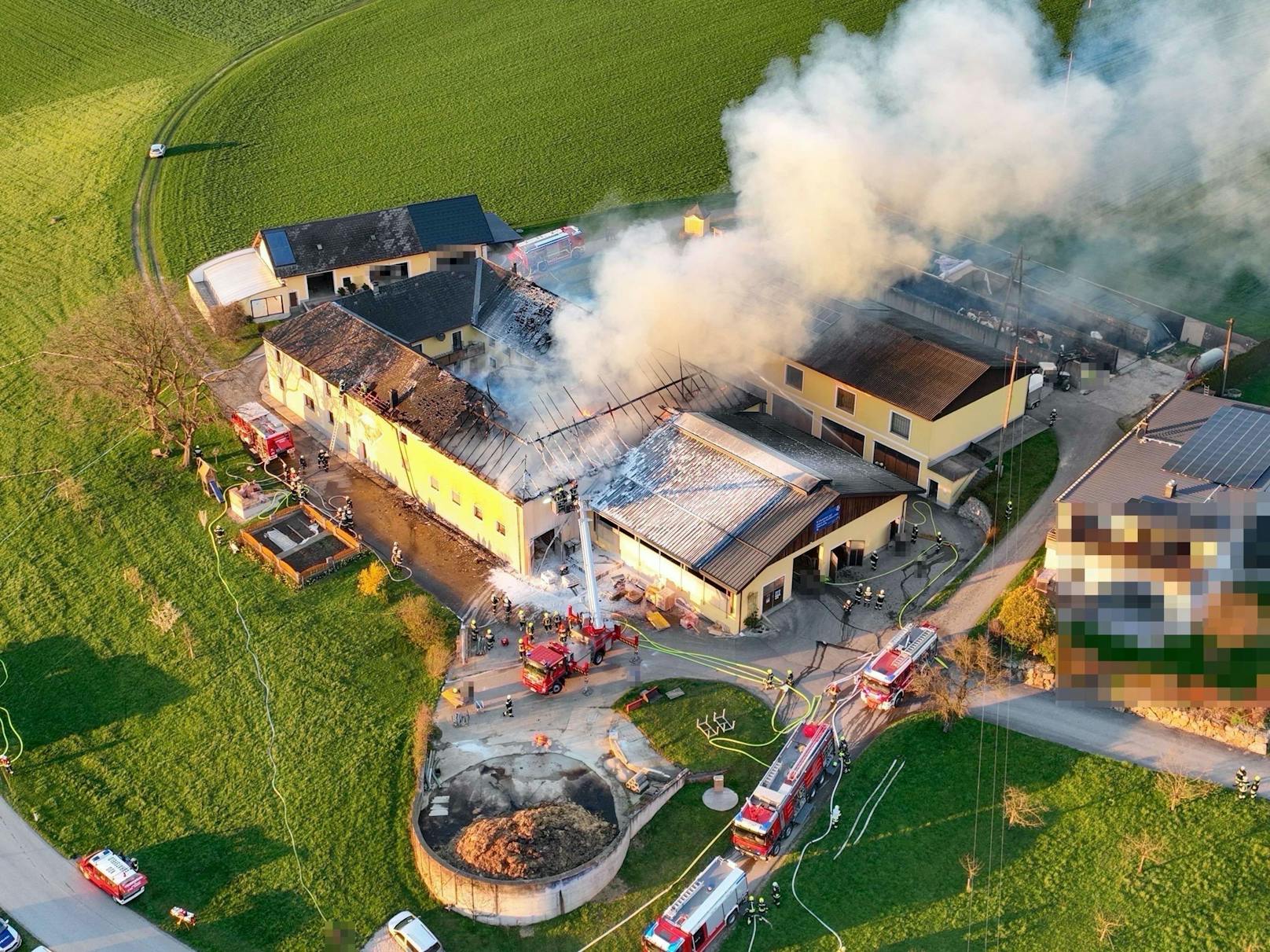 150 Feuerwehrleute kämpfen gegen Großbrand in NÖ