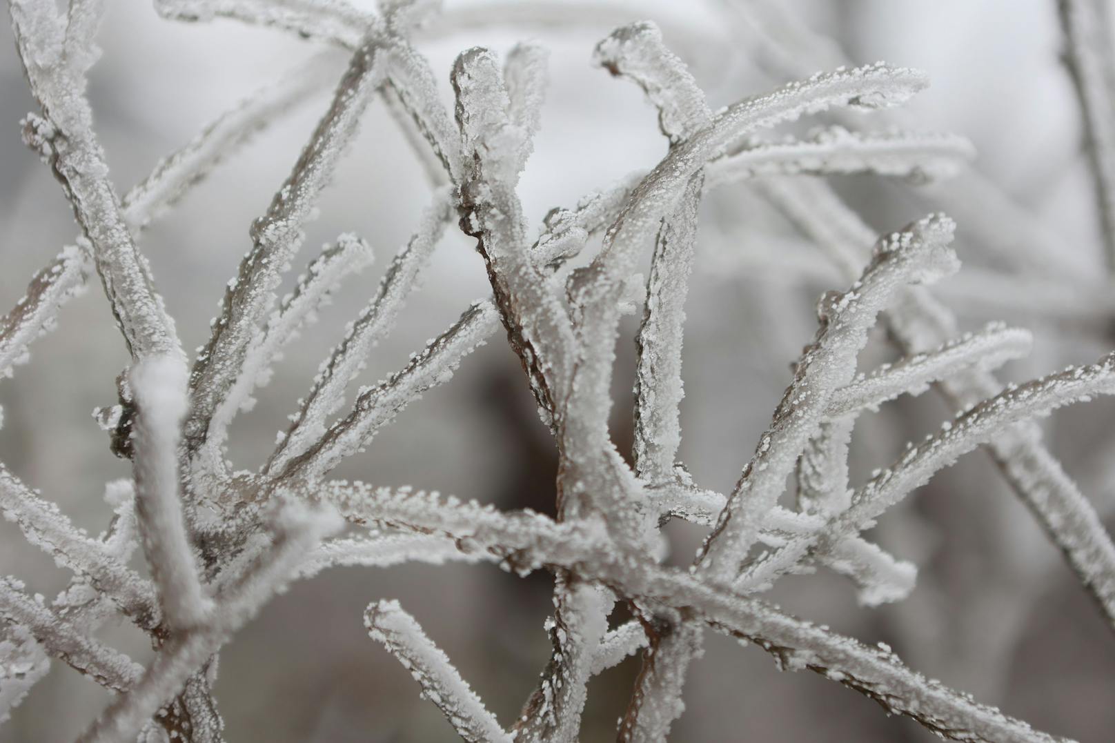 Trockene und polare Kaltluft sorgen in Österreich für frostige Temperaturen.