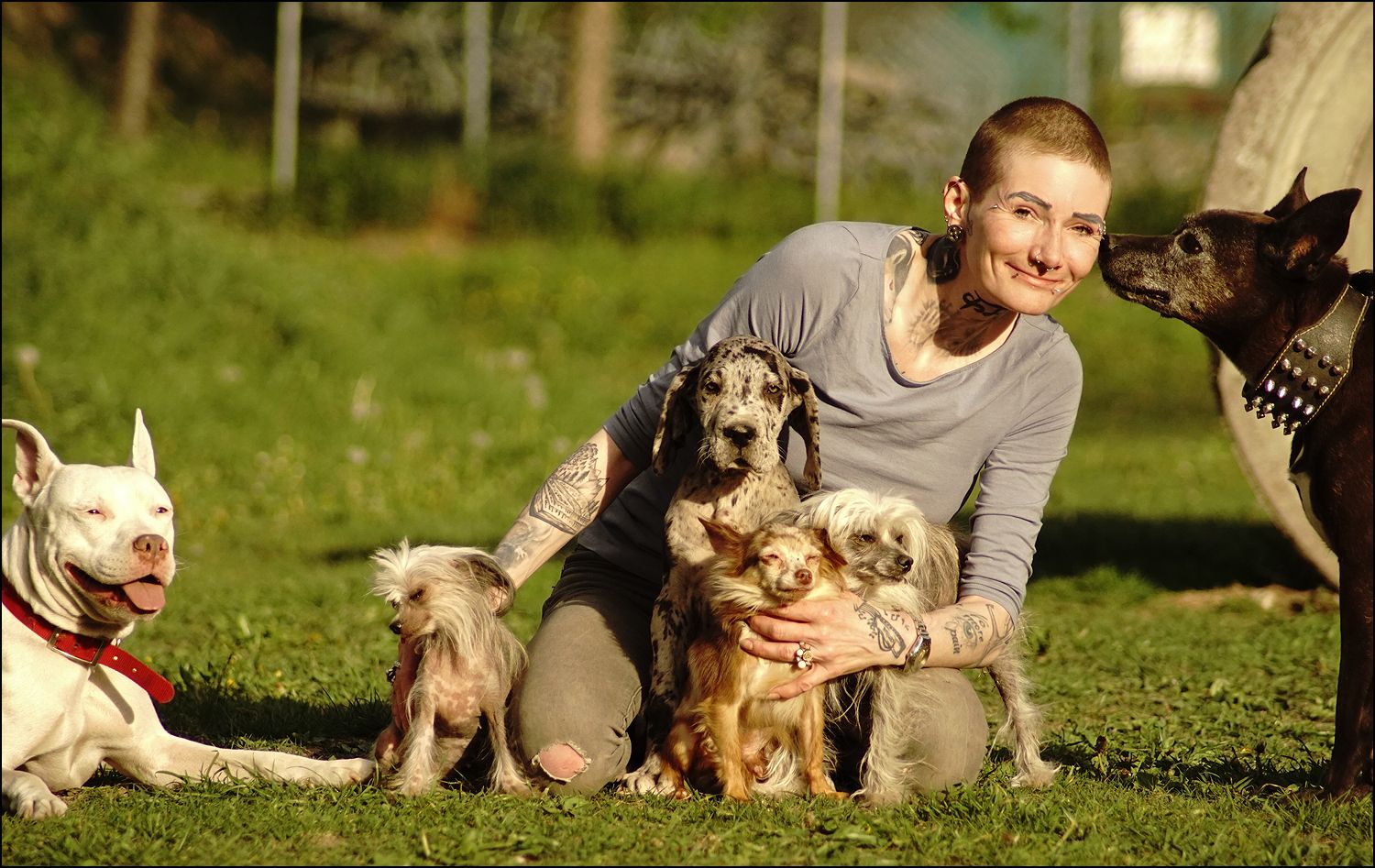 Verena G. beißt sich am Gesundheitssystem die Zähne aus. Sie soll 8.000 Euro für ein neues Gebiss zahlen.