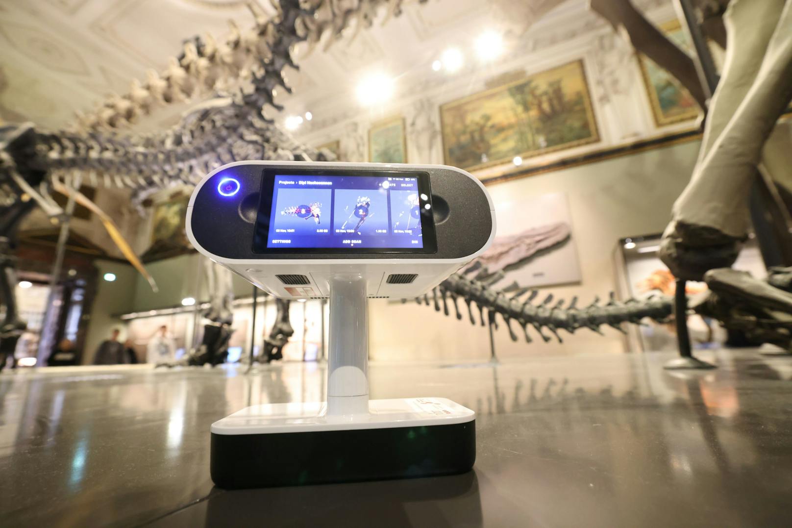 Viola Winkler, Verantwortliche des 3D-Labors der Zentralen Forschungslaboratorien am NHM Wien, und ihr Team scannten das 27 Meter lange Dino-Modell "Dippy".