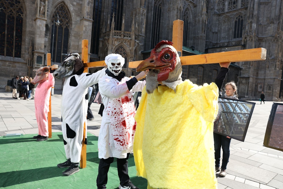 Die Tierfabriks-Tiere wurden symbolisch gekreuzigt.&nbsp;