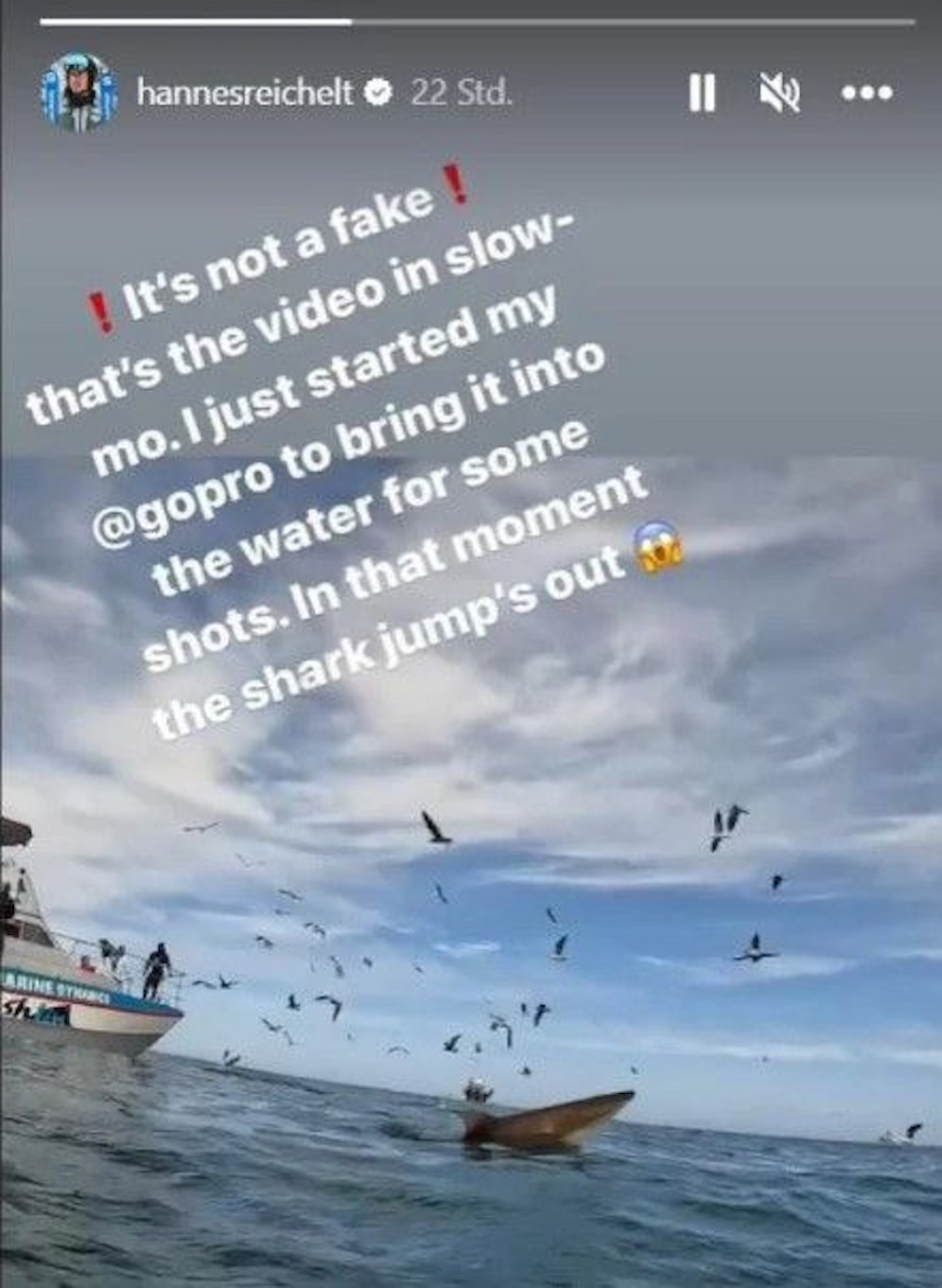 Hannes Reichelt hält seine Hai-Begegnung fest.