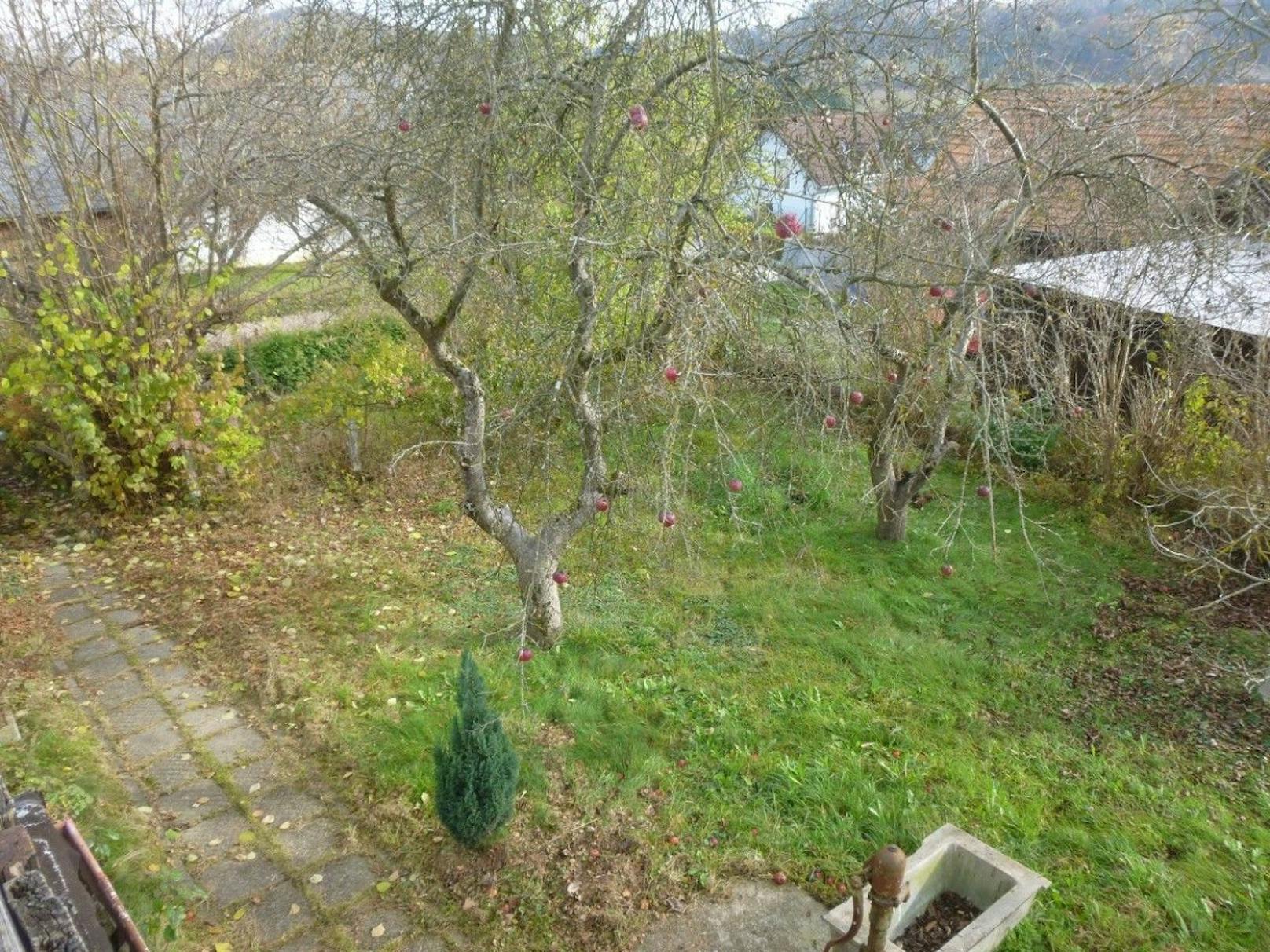 Im Garten warten wunderschöne Obstbäume und jede Menge Arbeit.