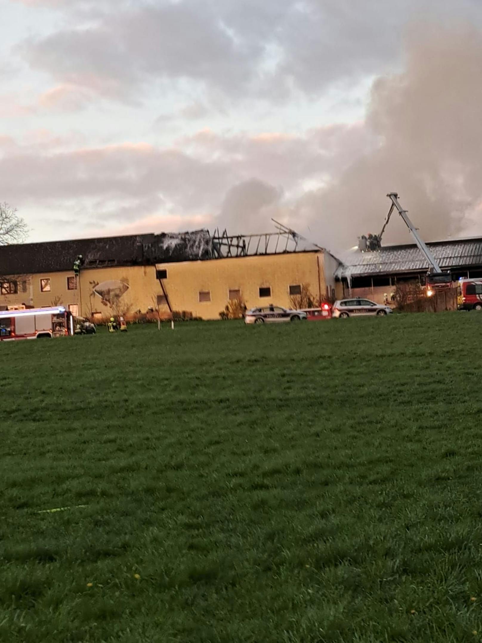 Der Stall eines Bauernhofes wurde schwer beschädigt, die120 Rinder konnten gerettet werden.