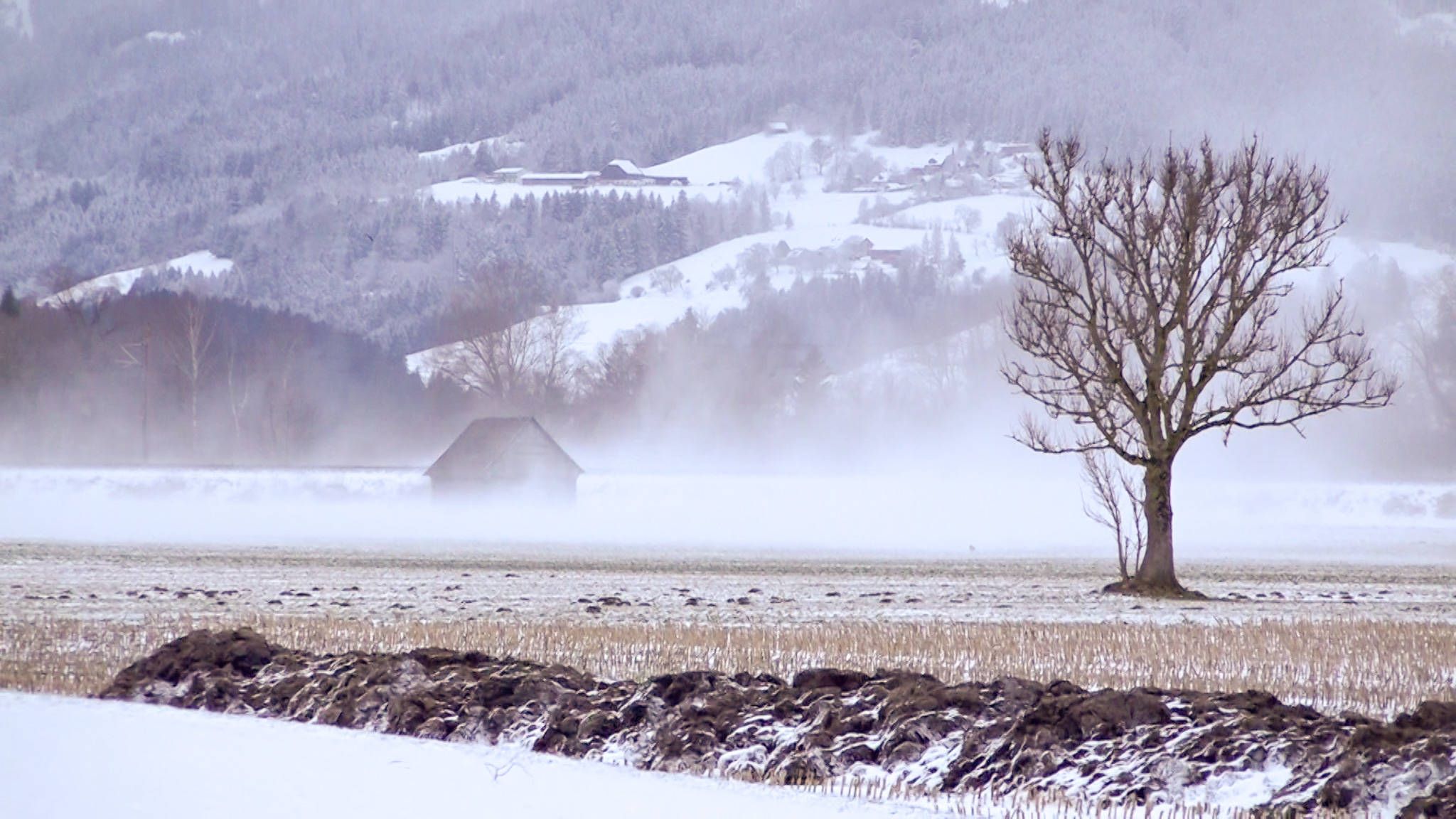Das Osterwochenende wird ungemütlich. Neben kalten und unbeständigen Temperaturen kehrt auch der Schnee zurück ins Land.