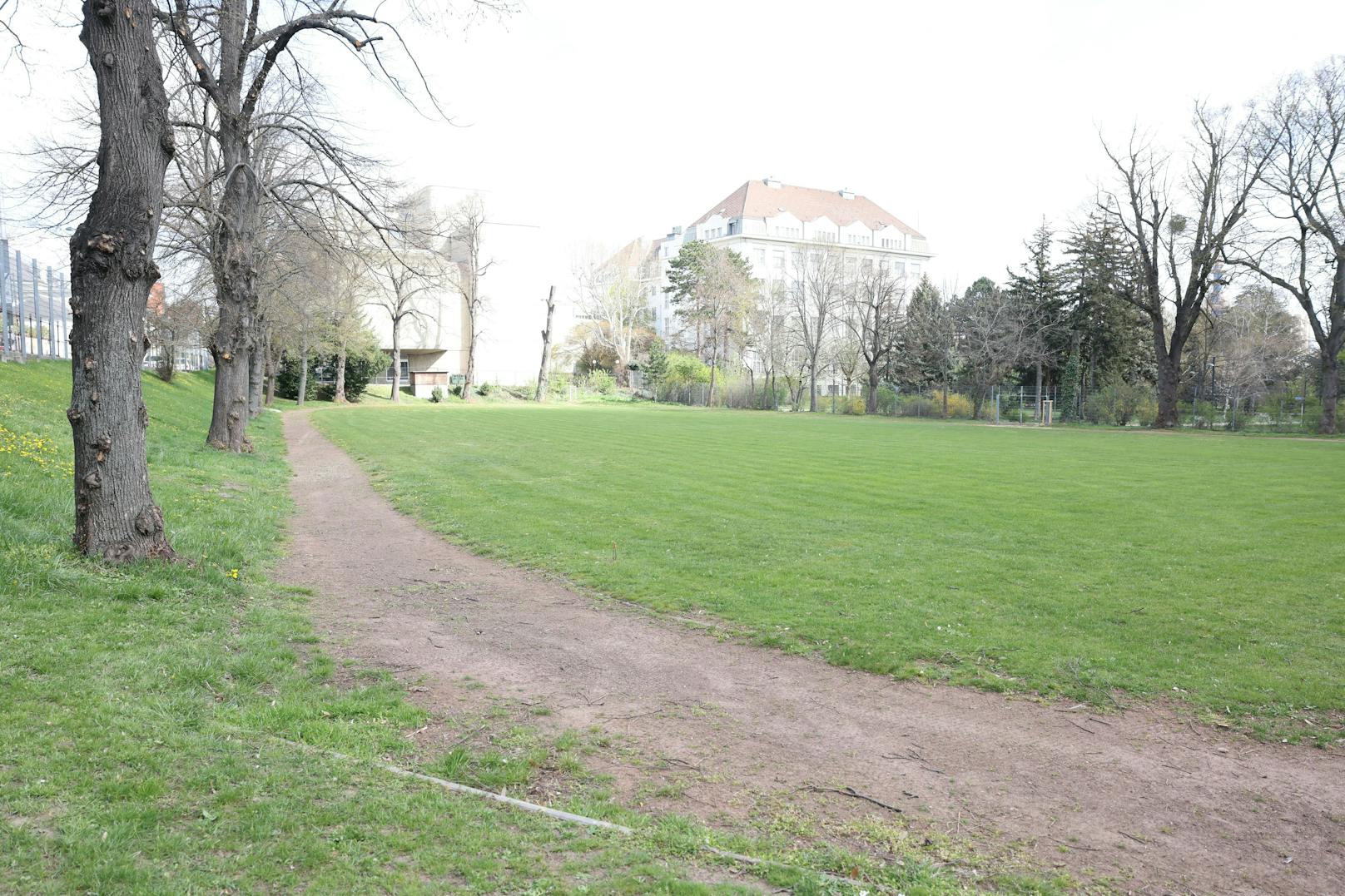 Der Währinger Park liegt auf einem alten Friedhofsgelände mit viel Baumbestand.