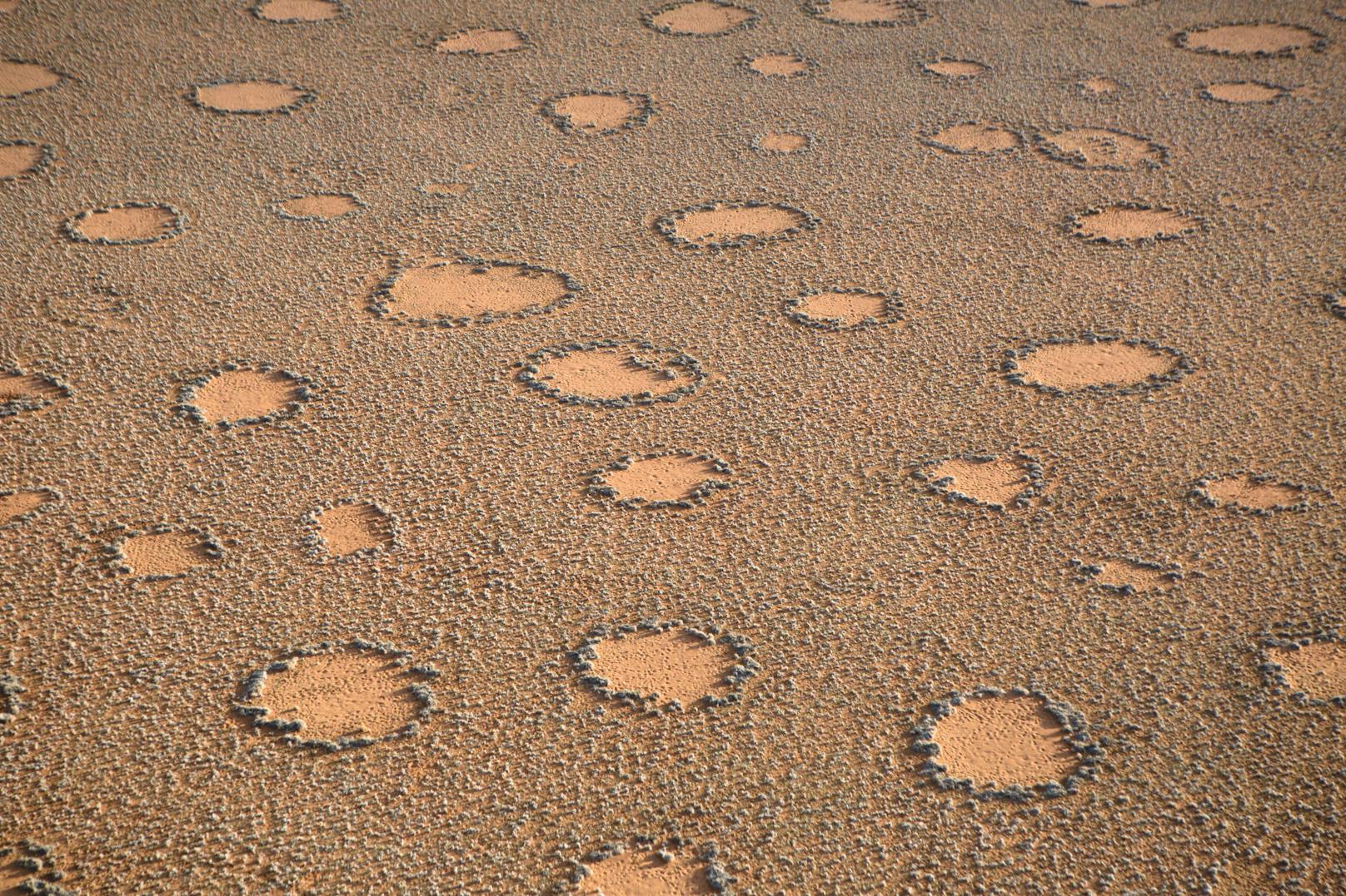 Regelmäßige, kreisförmige Muster zieren die australische Wüste. (Symbolbild)