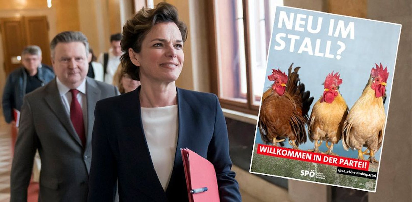 "Junge ansprechen" – SPÖ erklärt wirre Hühner-Kampagne
