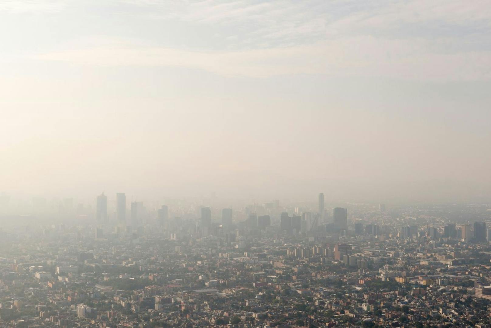 Smog "weckt" Krebszellen in Nichtraucher-Lungen