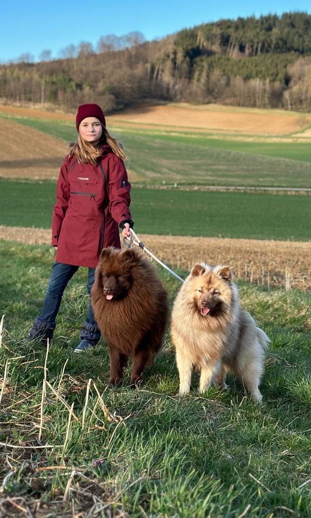 Wer keinen Hund hat, kann sich einen für die Wanderung ausborgen.