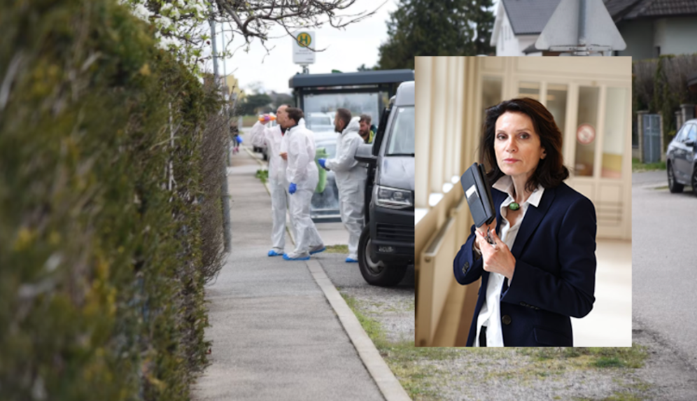 Star-Anwältin Astrid Wagner vertritt den Verdächtigen (27).