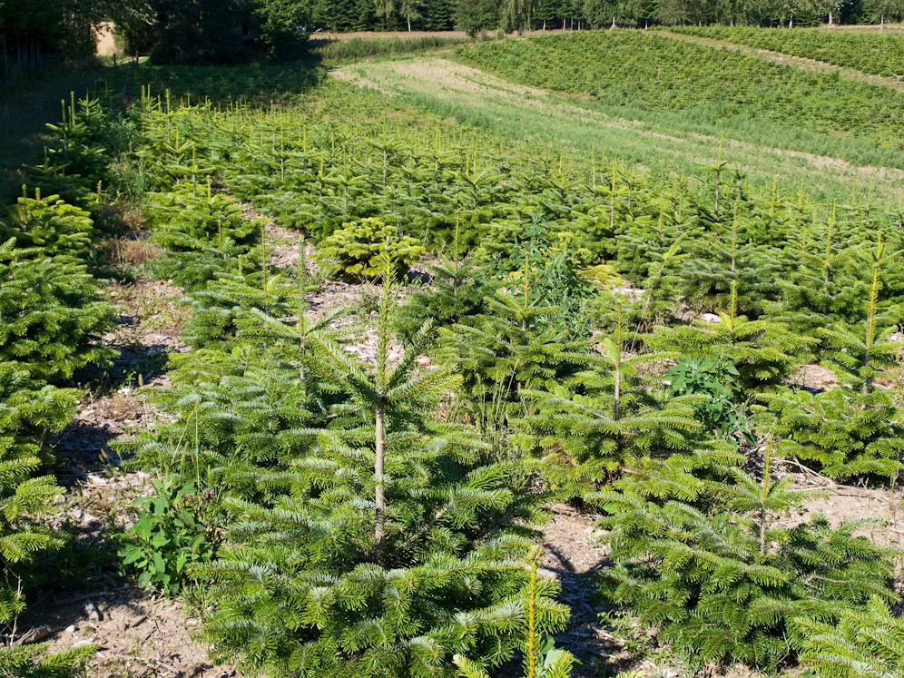 Der Lenker und seine Beifahrerin wurden verletzt.
