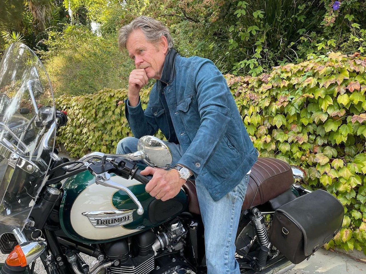 Heute.at - 550.000 € Strafe? Bäume des Nachbarn umgeschnitten