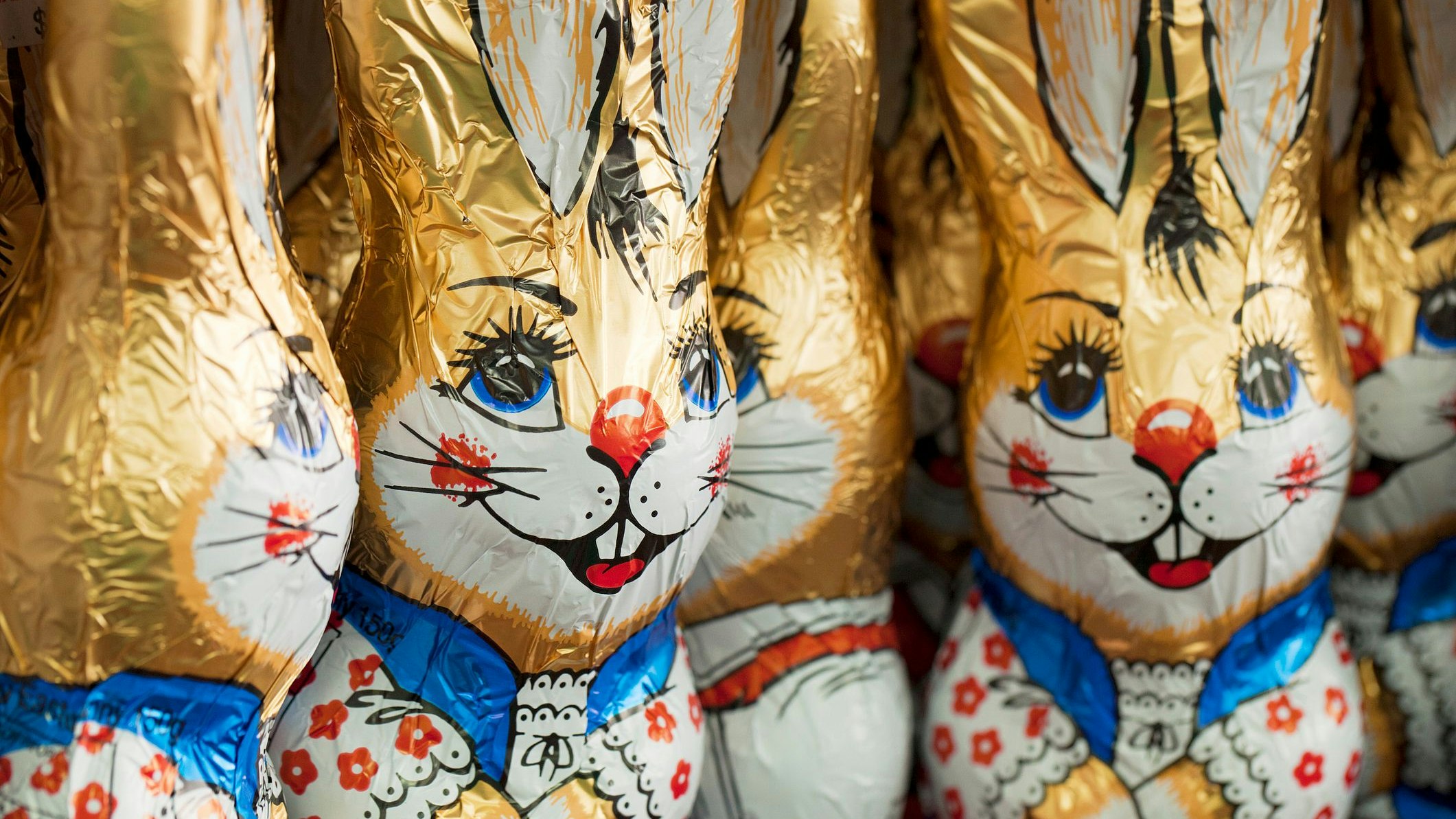 Chocolate bunnies coated in gold foil says only one thing. Easter time!